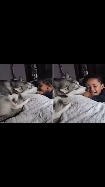 Boy Shares Special Bond With His Doggy Best Friend