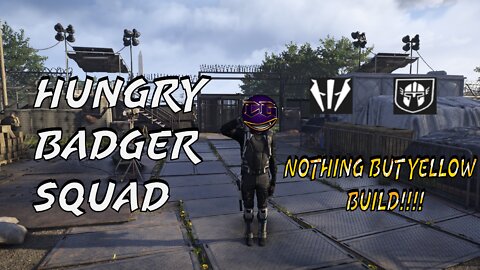 The Division 2 -- Alpha of the Hungry Badger Squad Build: High-End (Yellow Build)