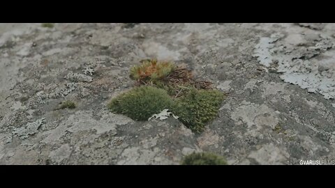 Two days of solo camping and hiking under Mount Gongga 1