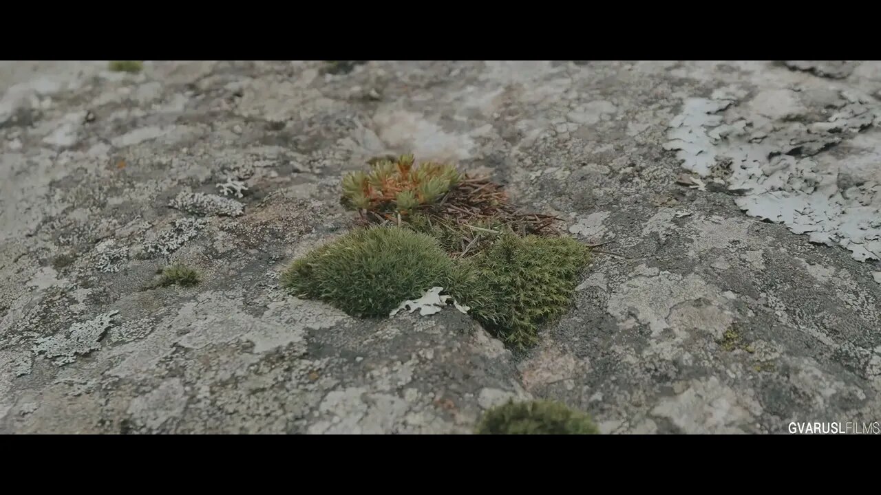 Two days of solo camping and hiking under Mount Gongga 1