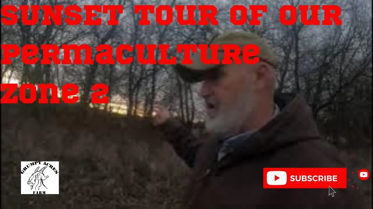 Sunset Tour Of Our Permaculture Zone 2