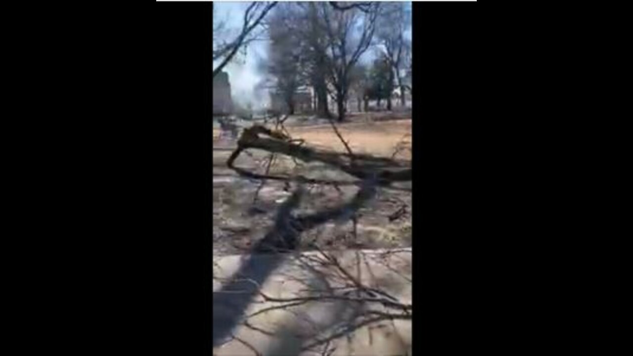 Massive tree damage from storm