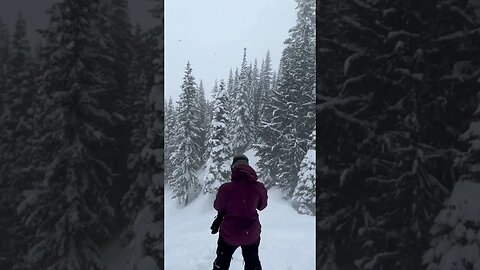 Crystal Mt covered in pow and there’s no one back here!! #splitboarding #snow #snowboarding