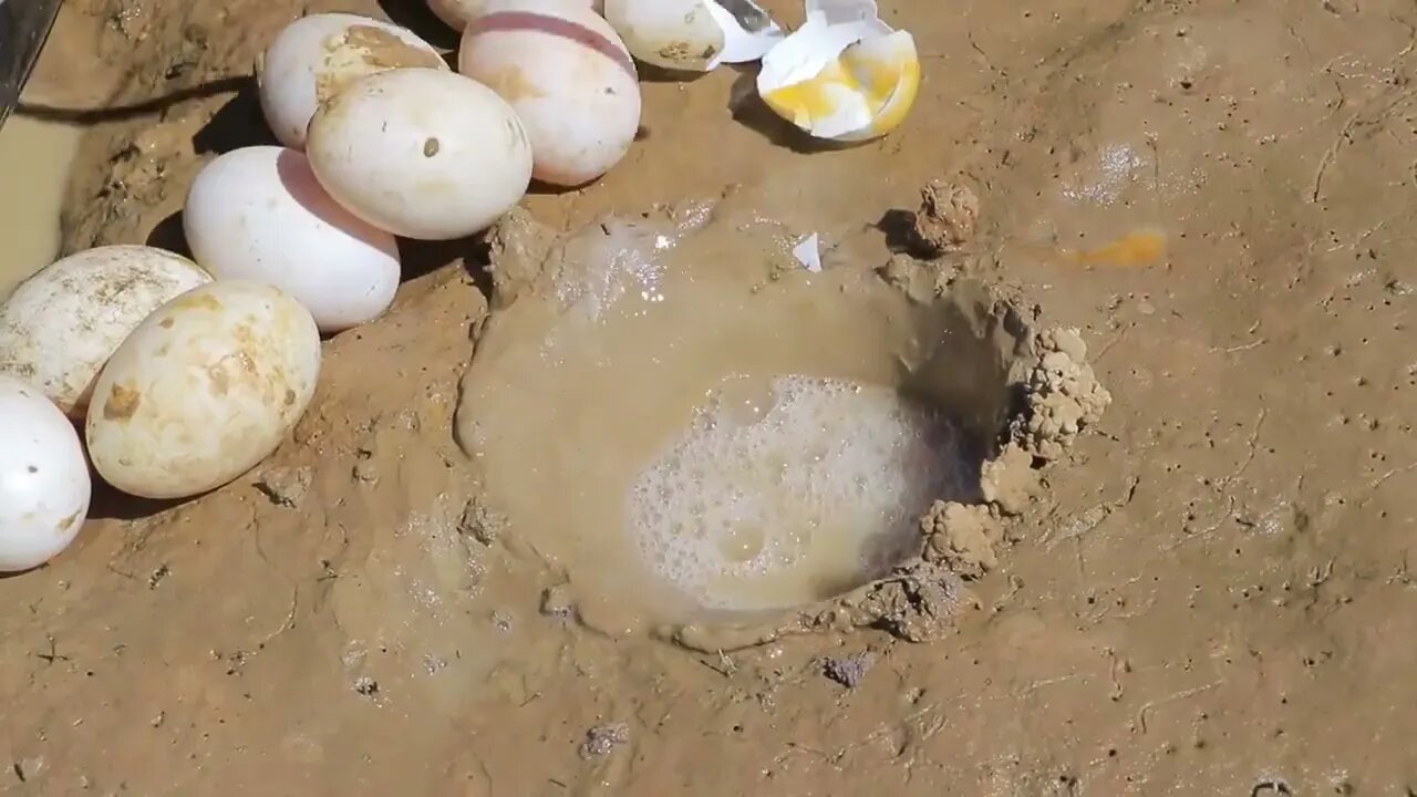 Unbelievable Fishing Technique | Best Underground Fishing With Eggs Catch Fish in Hole