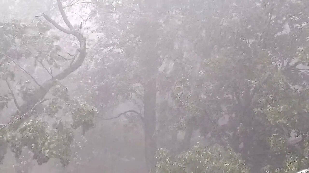 Heavy Thunderstorm - Strong Wind, Loud Thunder, and Heavy Downpour of Rain - Soothing Sounds