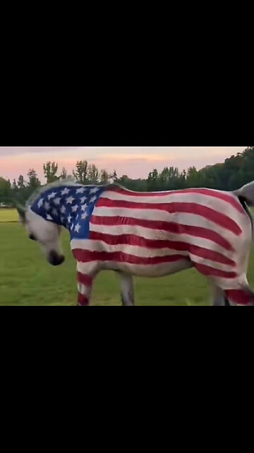 My pronouns are USA 🇺🇸if you don’t like take a hike !!