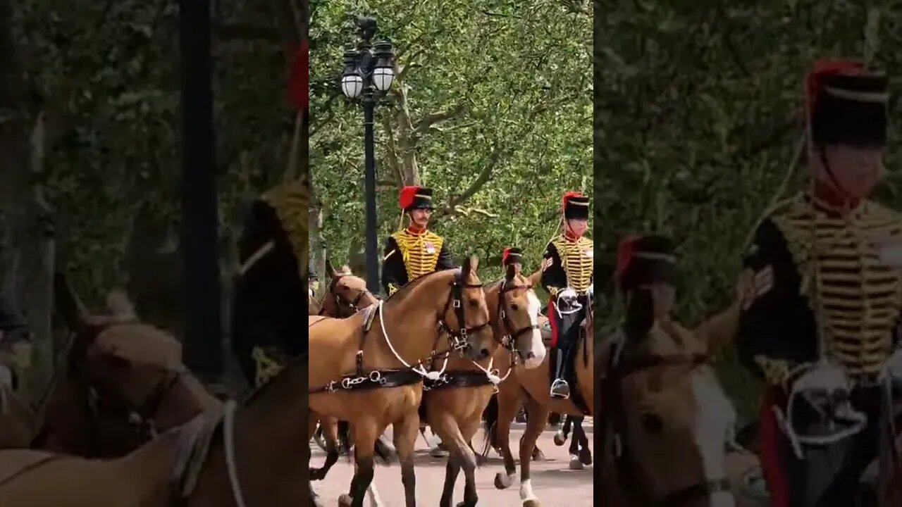 Kings troops Royal Artillery #buckinghampalace