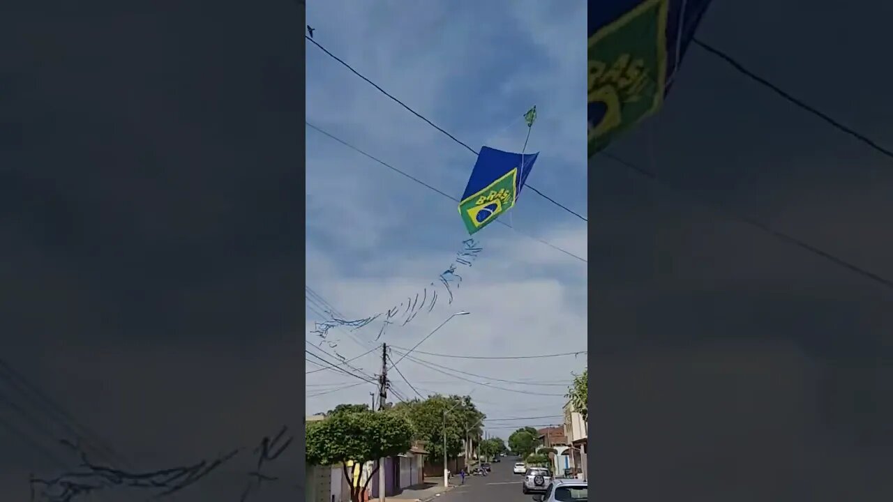 Pipa seleção Brasileira #shorts