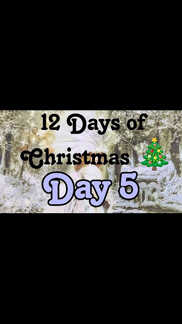 12 days of Christmas -day 5 Butterfly Insightful Daily Tarot