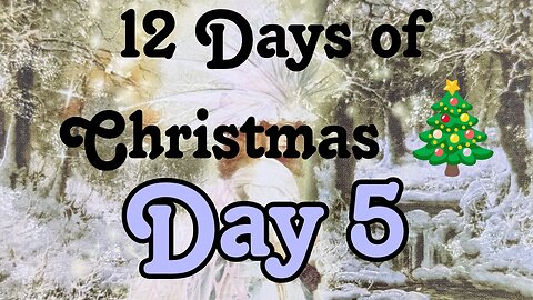 12 days of Christmas -day 5 Butterfly Insightful Daily Tarot