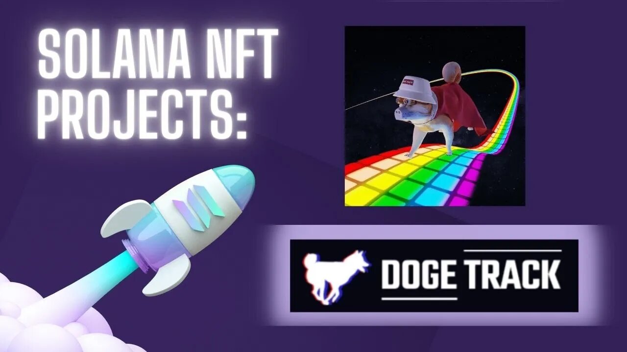 Solana NFT Project Deep Dive: Doge Track