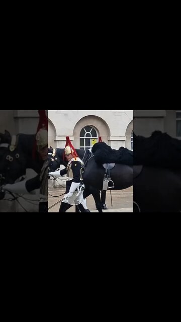 Eyes left eyes front #horseguardsparade