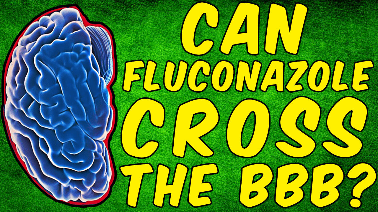 Can Fluconazole Cross The Blood-Brain Barrier?