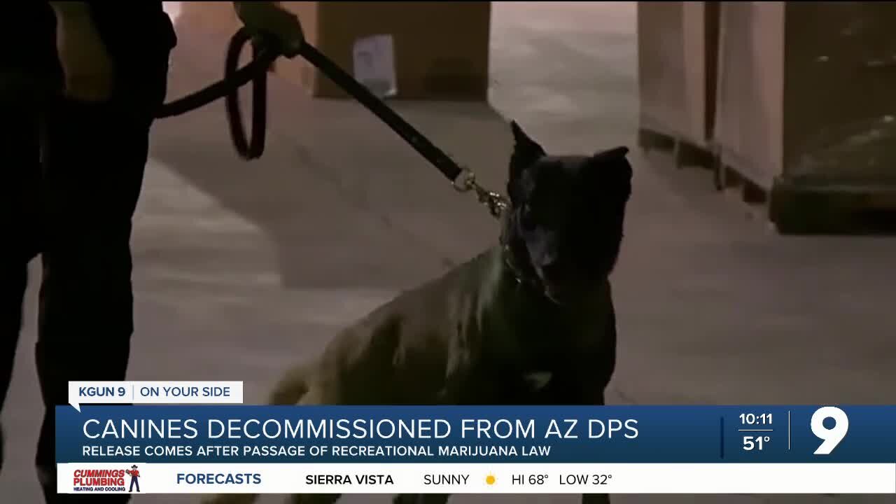 AZ DPS K9s decommissioned after passage of recreational pot law