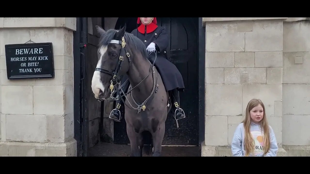 Tell the Horse not to be cheeky #horseguardsparade