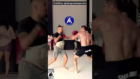 Gringos afirmam que Alex Poatan é MUITO Grande para peso médio baseado no seu último treino #shorts