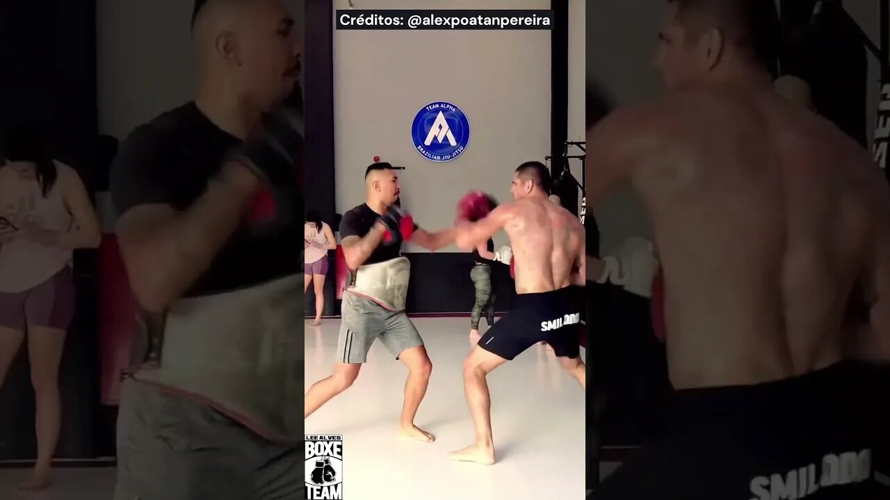 Gringos afirmam que Alex Poatan é MUITO Grande para peso médio baseado no seu último treino #shorts