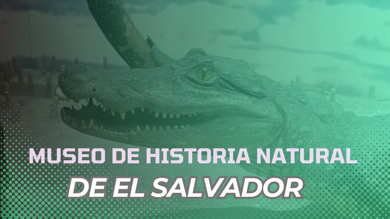 Recorriendo el Museo de Historia de El Salvador