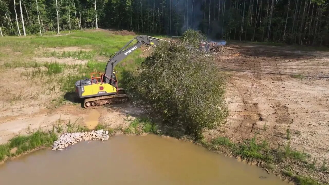 The Final Tree Comes Down