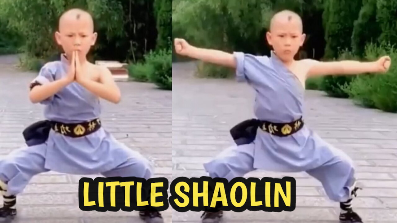 LITTLE SHAOLIN MASTER