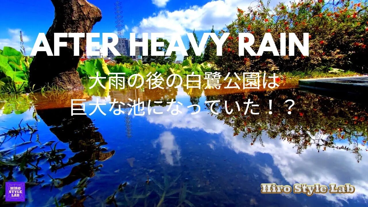 大雨の後の白鷺公園は・・？巨大な池になっていた？【After Heavy Rain】＃YT_Japan、＃白鷺公園、＃大雨の後、