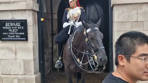 Tourist jumps when horse makes his move #horseguardsparade