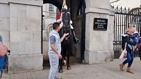 No don't feed him. tourist gives the horse chocolate #horseguardsparade