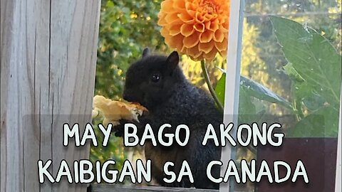 Ang bago kong kaibigan 🍁