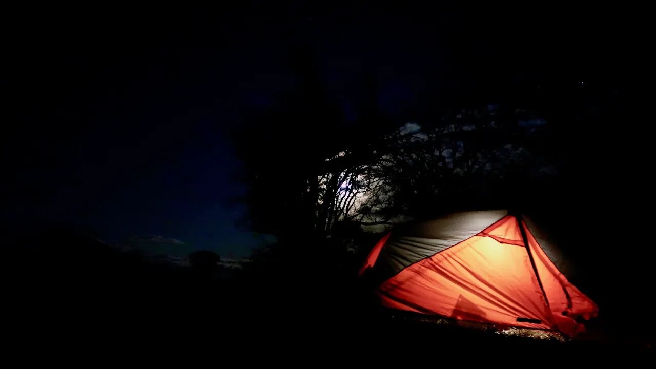 1-Person Ultralight Tent Winter Camping with My Furry Sidekick