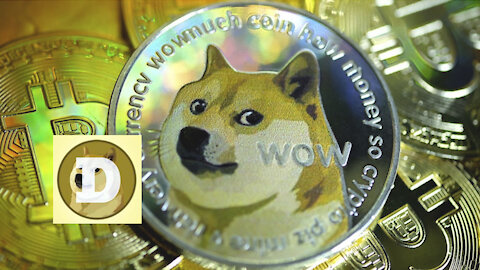 Whip The Meme Dogecoin