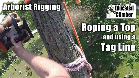 Roping a Top and Using a Tag Line | Arborist Rigging and Cutting Basics