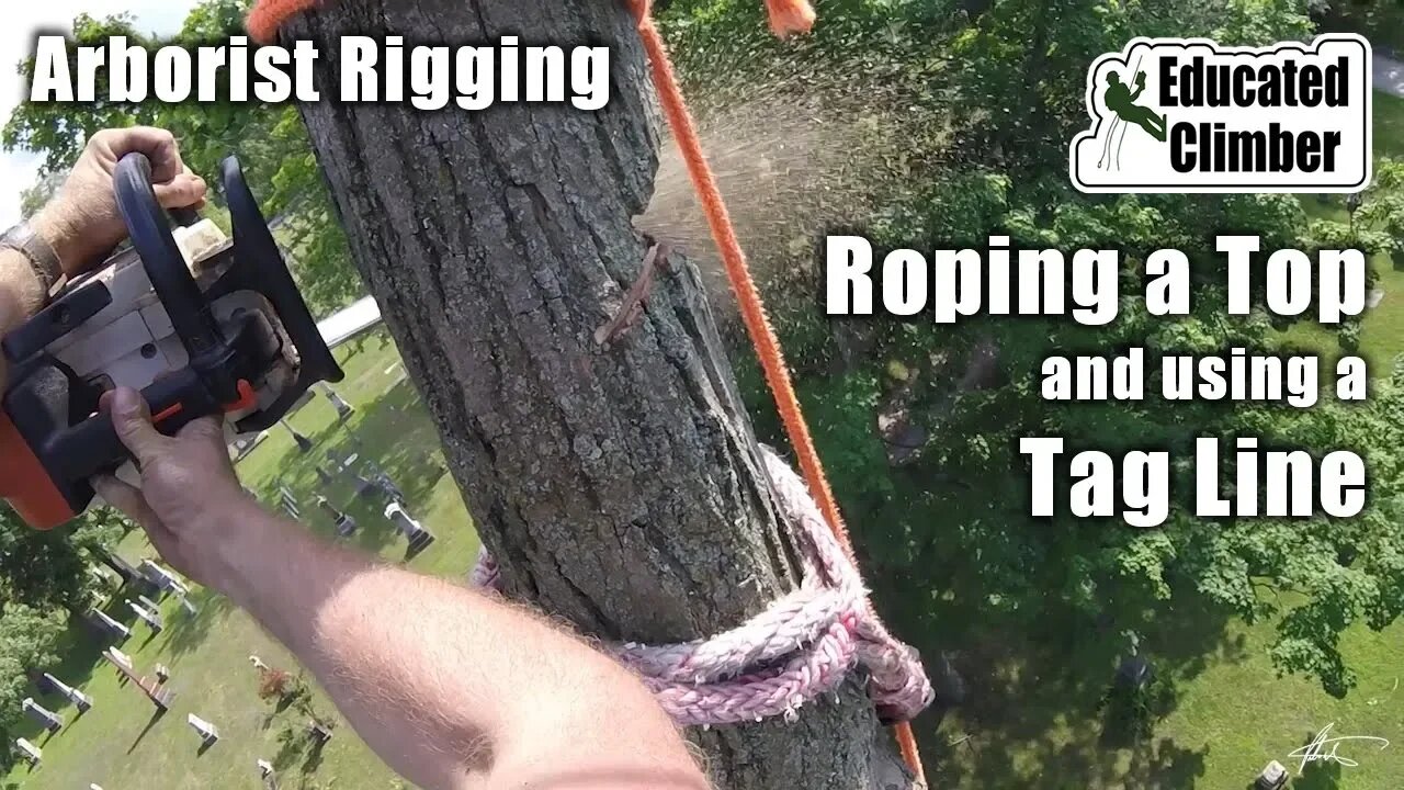 Roping a Top and Using a Tag Line | Arborist Rigging and Cutting Basics