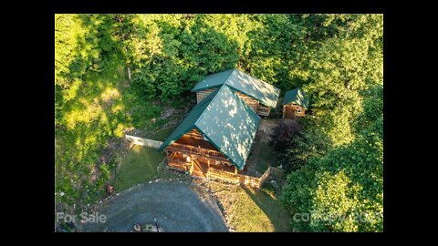 NW NC Bird feeder Bird watching Nature sounds #2 🦌 Lady makes an appearance at 55 min mark