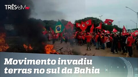 Ministério do Desenvolvimento Agrário quer mediar conflito entre MST e Suzano