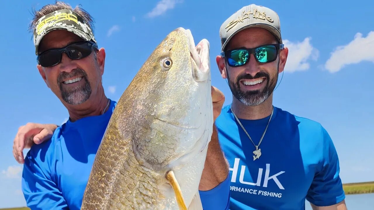 Bull Reds. Crazy Action