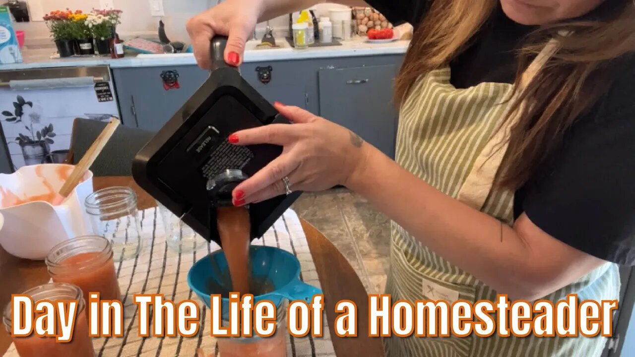 HOMEMADE APPLESAUCE and APPLE BUTTER || Day in the Life of a Homesteader