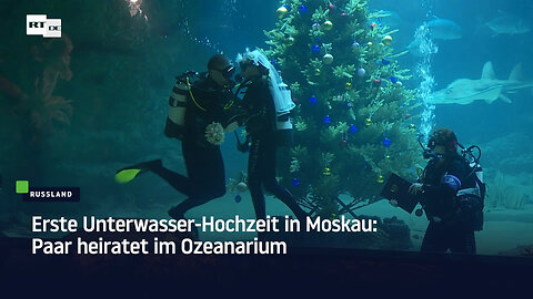 Erste Unterwasser-Hochzeit in Moskau: Paar heiratet im Ozeanarium