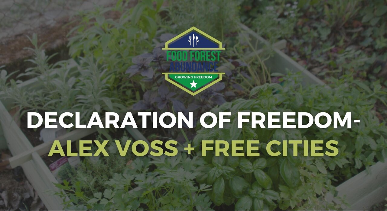 Declaration of Freedom- Alex Voss and free cities