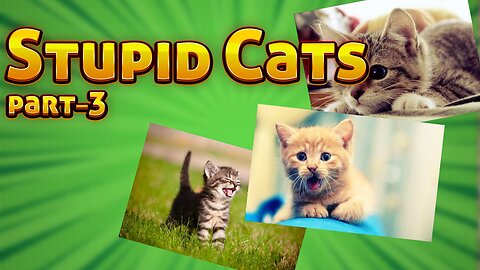 Stupid cats and stairs - part 3