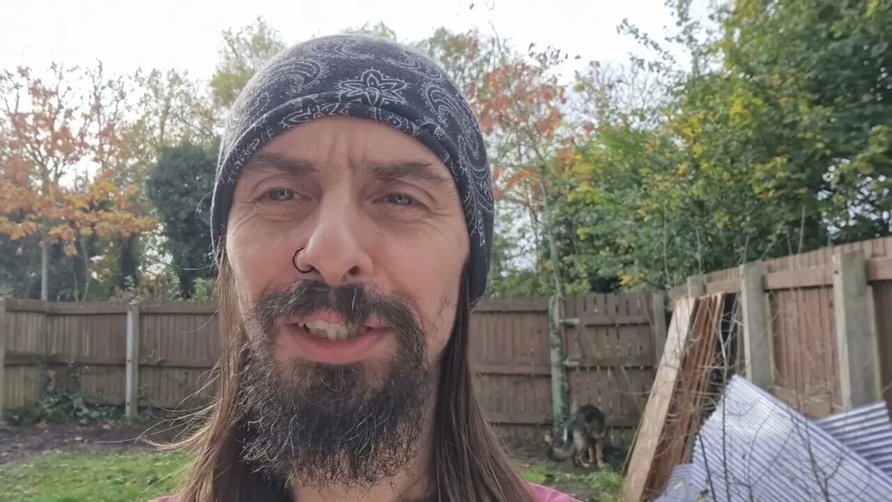 Latest rAntz pulled from YouTube