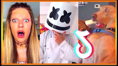 Funny tiktok viral videos