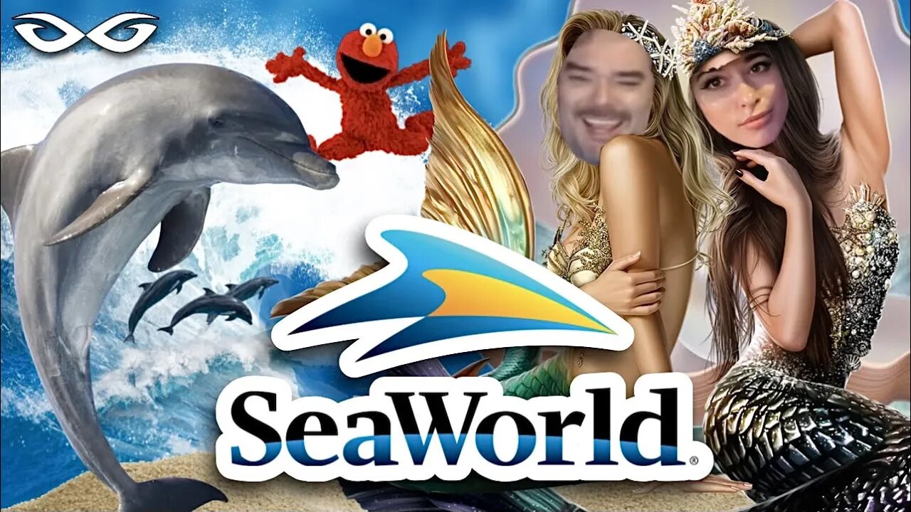 Geeks and Gamers at SeaWorld | Krista Feeds Sea Lions & Howl-O-Scream