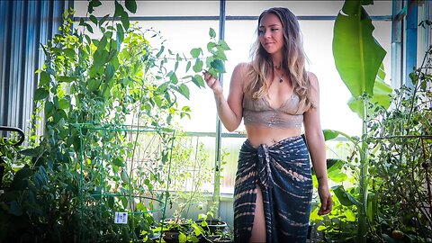 Our Off Grid Rainwater Greenhouse Tour | Growing Our Own Food