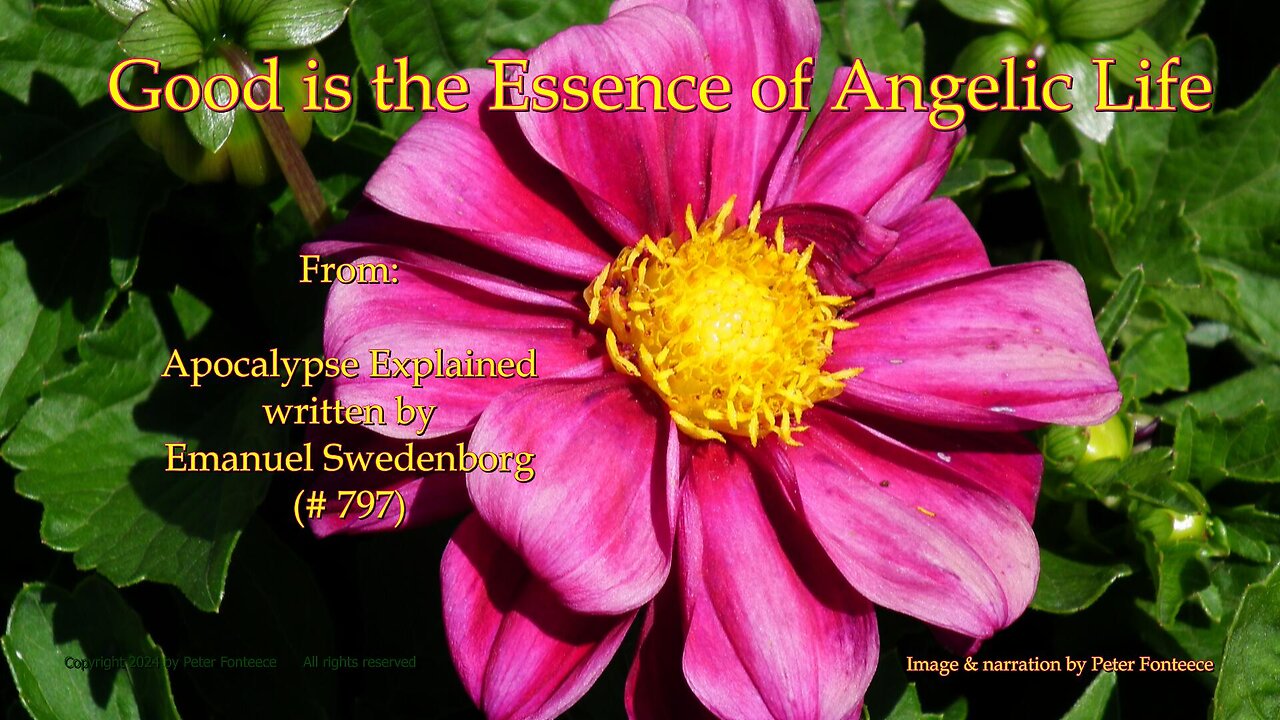 Good is the Essence of Angelic Life