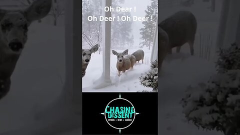 Oh Deer !