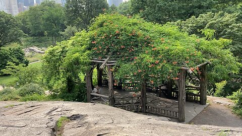 Walking Manhattan (Central Park): Summerhouse at the Dene > Conservatory Water