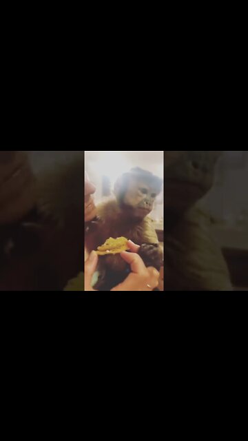 Gahhh I love her! nite nite Friends!!!! Let us know about our 4th of July shirt option #Shorts