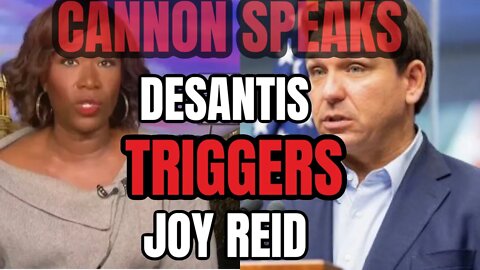 SUNDAY HEADLINES: DeSantis Triggers Joy Reid