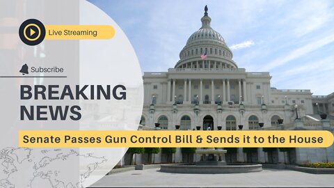 Senate Passes Gun Control Bill and sends it to the House