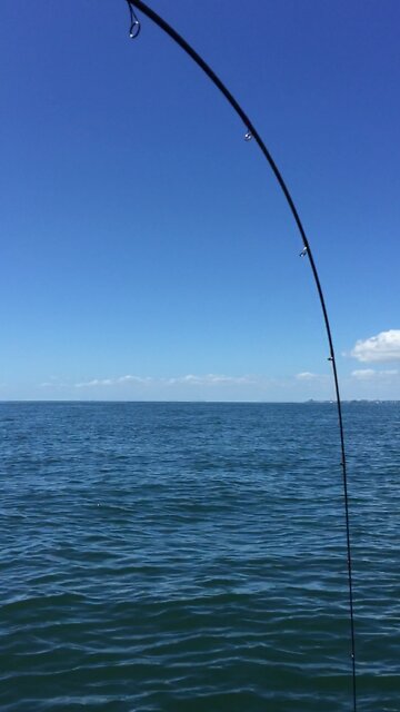 Fishing Rod snaps from lifting heavy fish